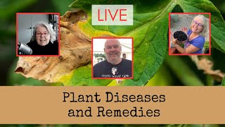 Plant Diseases and Remedies [upl. by Boyce77]