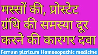 गोखरू मस्सों की होम्योपैथिक दवा Ferrum picricum फेरम पिकरेटा gokhru masse ki homeopathic medicine [upl. by Eural615]