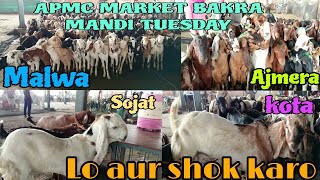 😱APMC Market Bakra Mandi Tuesday visit now Lo aur shok karosubscribe biggestgoatfarm SGFFSA [upl. by Martinson]