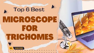 Best Microscope for Trichomes in 2023 Top 6 Reviews [upl. by Alfredo]