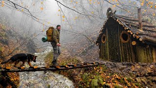 Wilderness Survival Building a Log Cabin and Bridge in the Misty Forest  Surviving and Thriving [upl. by Yllrebmik]