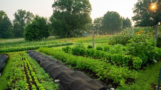 Regenerative Agriculture on a Small Scale  What it Looks Like [upl. by Petie]