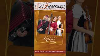 „Die Fledermaus“ – Eine ZweiPersonenOperette [upl. by Osborn]