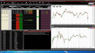 CapTrader Trader Workstation TWS und AgenaTrader Software Grundlagen [upl. by Siloa]