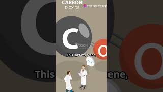 Oxygen and Carbon Dioxide The Tale of Two Gases in the Body [upl. by Theresa]