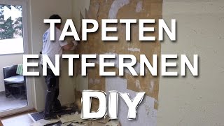 TAPETEN ENTFERNEN  So wird es richtig gemacht  DIY ANLEITUNG [upl. by Oretos797]