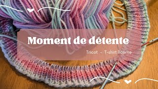 Moment de détente  Tricot  tshirt licorne et lecture [upl. by Wolk]