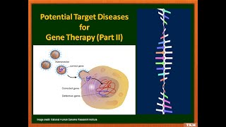 Potential Target Diseases for Gene TherapyPart II pharmacy lecture M Pharm [upl. by Elrebma]