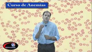 CURSO DE ANEMIAS [upl. by Russom]