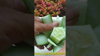 AMAZING ART CUCUMBER CARVING 😍 PAKAI PISAU TERBAIK [upl. by Bergquist]