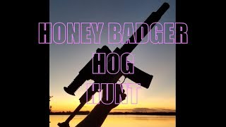 COLION NOIR HOG HUNT [upl. by Naujyt]