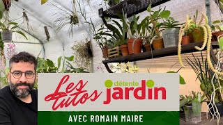 Comment polliniser une orchidée [upl. by Arnulfo]