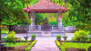 University of Sri Jayewardenepura Beautiful Image Gallery 4K Resolution  VideoFly Creations [upl. by Gianni]