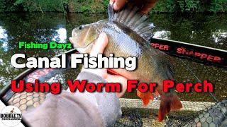 Canal Fishing Using Worm For Perch [upl. by Naleag638]