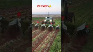 Best Agreecalture Farming Equipment 👌shorts farming agreeculture trending viralvideo farmer 👌👍 [upl. by Cosme]