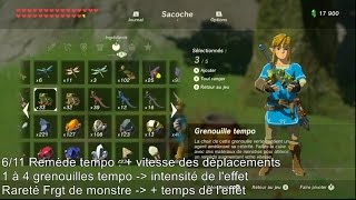 The Legend of Zelda BotW  Guide des 11 remèdes recettes conseils [upl. by Rudelson]