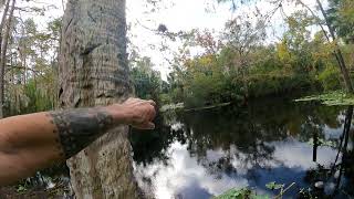 Paradise Road DeLand Florida Post Hurricane Milton Receding Flood Waters [upl. by Anilra443]