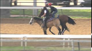 American Pharoah workout 5 26 15 [upl. by Attebasile14]