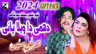 zillay hasnain new song 2024  dhami da vela pani peta [upl. by Nivan]