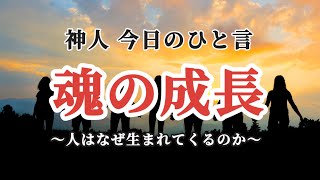 神人今日のひと言 〜魂の成長〜カリキュラム〜苦〜出会い〜運命〜喜びの循環〜 2023121〜2023126 [upl. by Clippard]