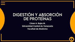 Digestion y Absorcion de proteinas [upl. by Noet]