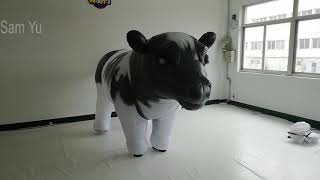 Cow Inflatable Costume Artistic Direction How To Decorate Wedding Stage Event [upl. by Amata]