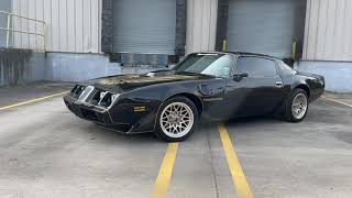 Budget Restomod 1981 Bandit Trans Am LS Swap [upl. by Enovad777]