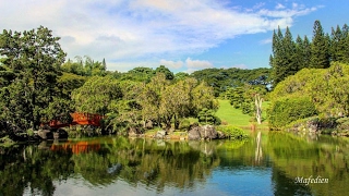 Jardín Botánico de Santo Domingo [upl. by Iridissa]