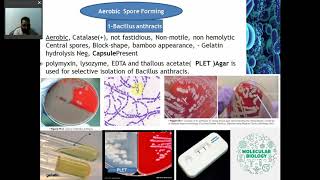 ANALYTIC PROCEDURES FOR BACTERIOLOGY Part 2 Gram Positive Bacilli [upl. by Yrogiarc]