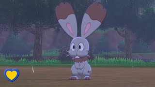 HOW TO GET Bunnelby in Pokémon Sword and Shield [upl. by Iviv312]