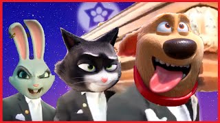 StarDog and TurboCat  Coffin Dance Song COVER [upl. by Ikkaj]