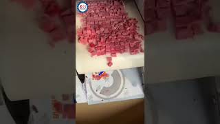 Automatic Fresh Meat Dicer Machine Made in China [upl. by Datha531]