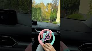 Princess Driving Essentials [upl. by Antipas158]