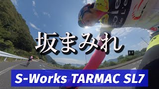 SWorks TARMAC SL7初ライド【ロードバイク】 [upl. by Ainivad528]