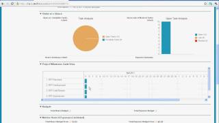 Salesforcecom RFP Process and Milestones PM App [upl. by Dot]