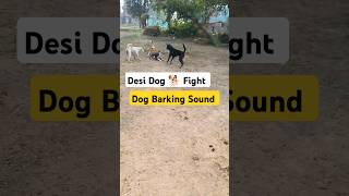 Dog Barking Sound  Dogs Fight Sound  Dog Barking Sound Effect  Desi Dog Barking  shorts dog [upl. by Burrows106]