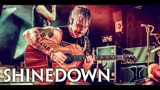 Shinedown  2018 European Tour [upl. by Kari503]