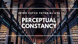 Perceptual Constancy Intro Psych Tutorial 56 [upl. by Eelitan]