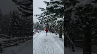 whistlerbc snowfall snowwalk explorebc destinationbc explorecanada canadaexplorer winter [upl. by Neveda]