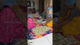 Mango Pickle Making Process In Factory shorts making factoryindie [upl. by Sitof844]