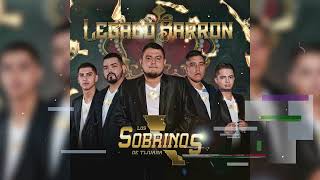 Los Sobrinos De Tijuana  Legado Barron audio original [upl. by Vasos867]