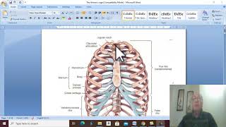 Respiratory module 1 Thoracic cage  part 1 by DrWahdan [upl. by Gmur]