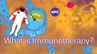 How does cancer immunotherapy work [upl. by Hiett]