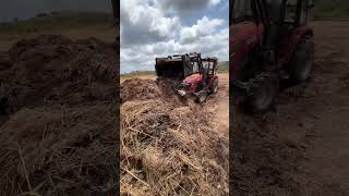 Mixing our compost pile [upl. by Aleunam]