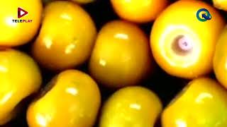 “Los subproductos de frutas tropicales” – Acceso Directo [upl. by Attena]