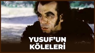 ŞEYTAN Hz Yusufun Kardeşlerine Musallat Oluyor  Hz Yusuf 5 Bölüm [upl. by Ansell]