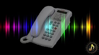 Office Phone Ring Sound Effect  Office Sounds original [upl. by Sabine]