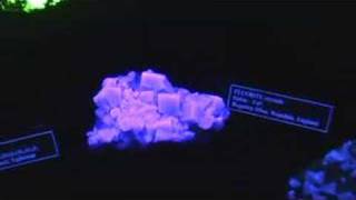 Flourescent Minerals [upl. by Ayanat]