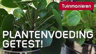 De test met de plantenvoeding  Tuinieren  Tuinmanieren [upl. by Clayborn]