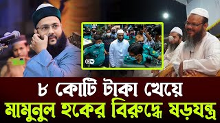 যেই পীরের কারণে মামুনুল হক তিন বছর জেলখানায় ছিলেনগোপন তথ্য বলে দিলেন আব্বাসী d enayatullah abbasi [upl. by Nnylrefinnej]